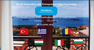 Professionalism and Institutionalism in Youth NGO