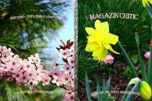 MAGAZIN CRITIC