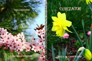 Cutezator=coperta